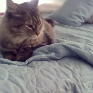 Meet your Posher, Cathy